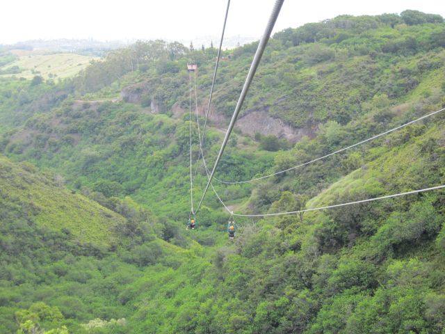 IMG 0601 copy